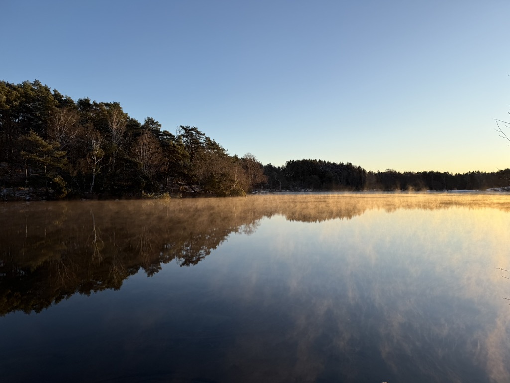 周五的 morning walk